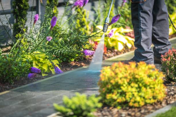  Bethalto, IL Pressure Washing Pros