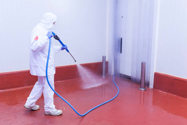 Best Graffiti Removal  in Bethalto, IL